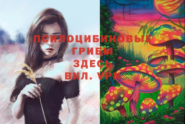 таблы Алексин