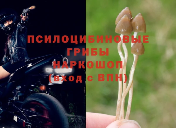 мескалин Алексеевка