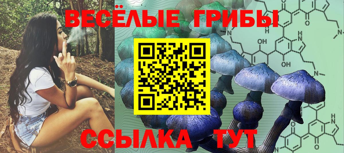 Псилоцибиновые грибы ЛСД Красноярск